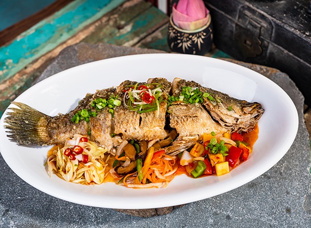 food-dish